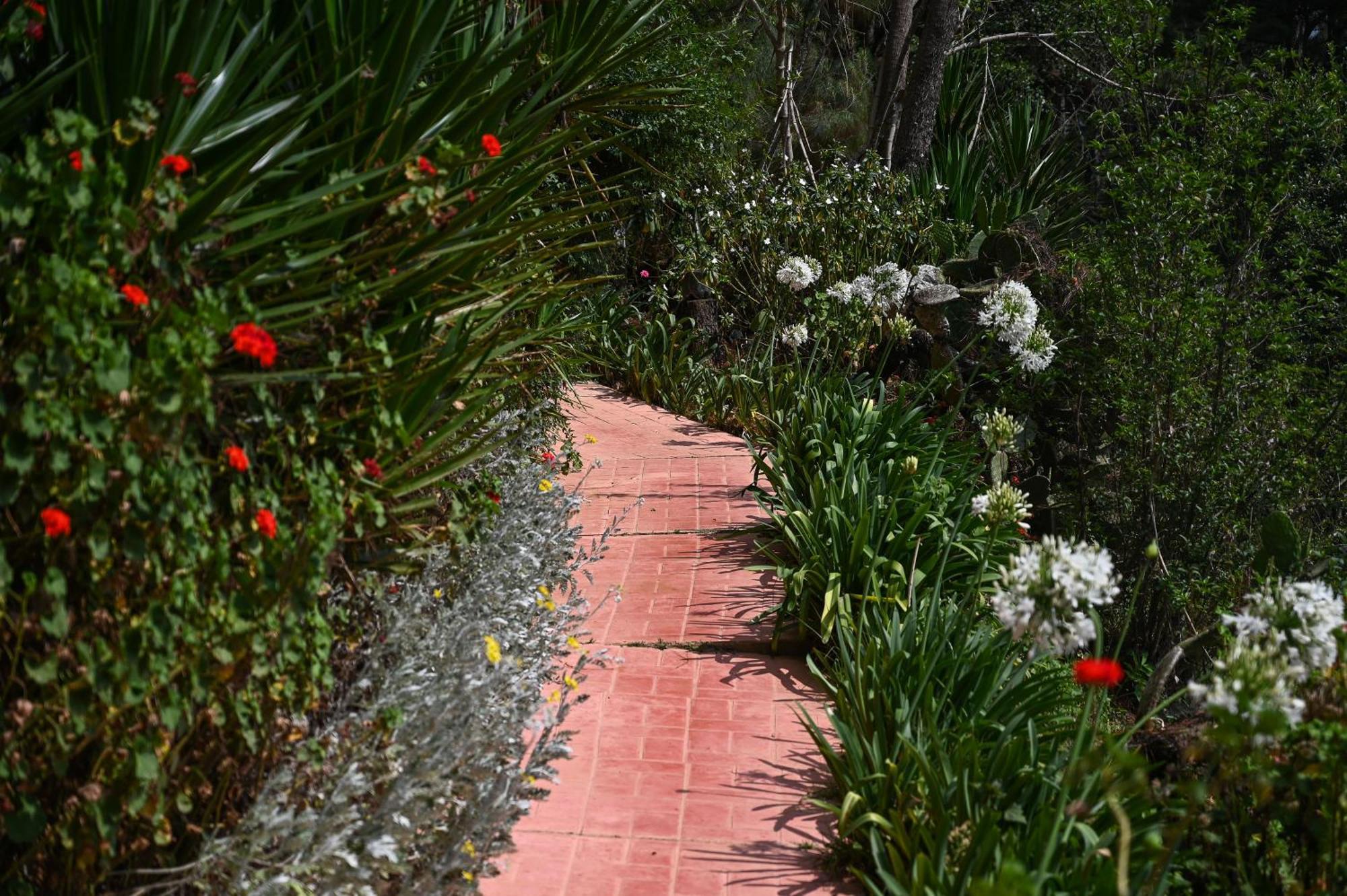San Jose Del Pacifico- Cabanas Camino Al Cielo 2 Экстерьер фото