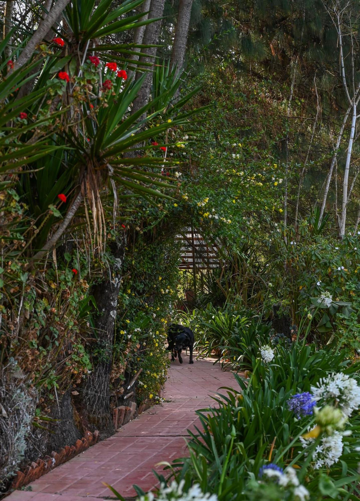 San Jose Del Pacifico- Cabanas Camino Al Cielo 2 Экстерьер фото
